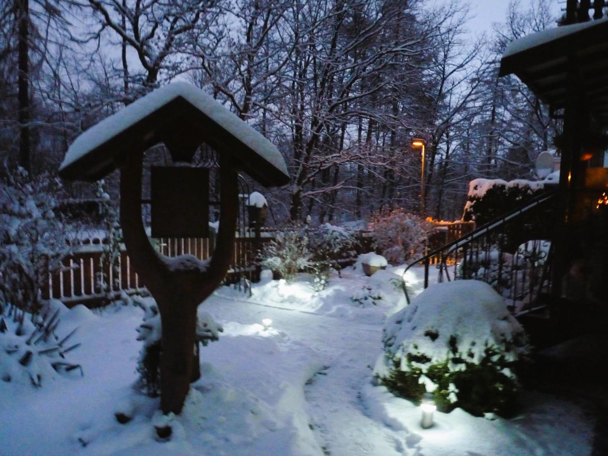 Ferienwohnung Im Wald Mit Kamin Bad Harzburg Esterno foto