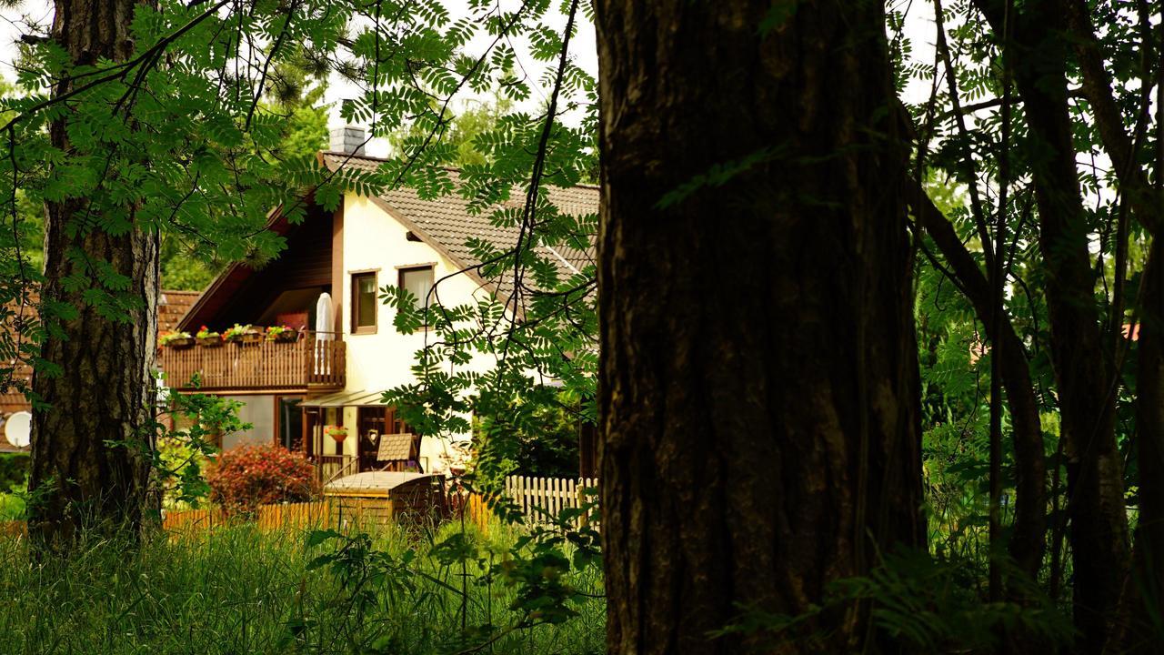 Ferienwohnung Im Wald Mit Kamin Bad Harzburg Esterno foto