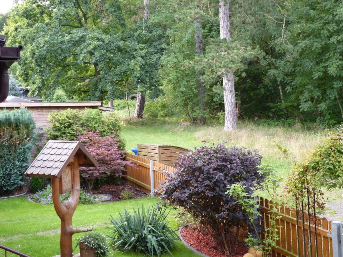 Ferienwohnung Im Wald Mit Kamin Bad Harzburg Esterno foto